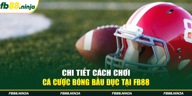 Chi tiết cách chơi cá cược bóng bầu dục tại Fb88